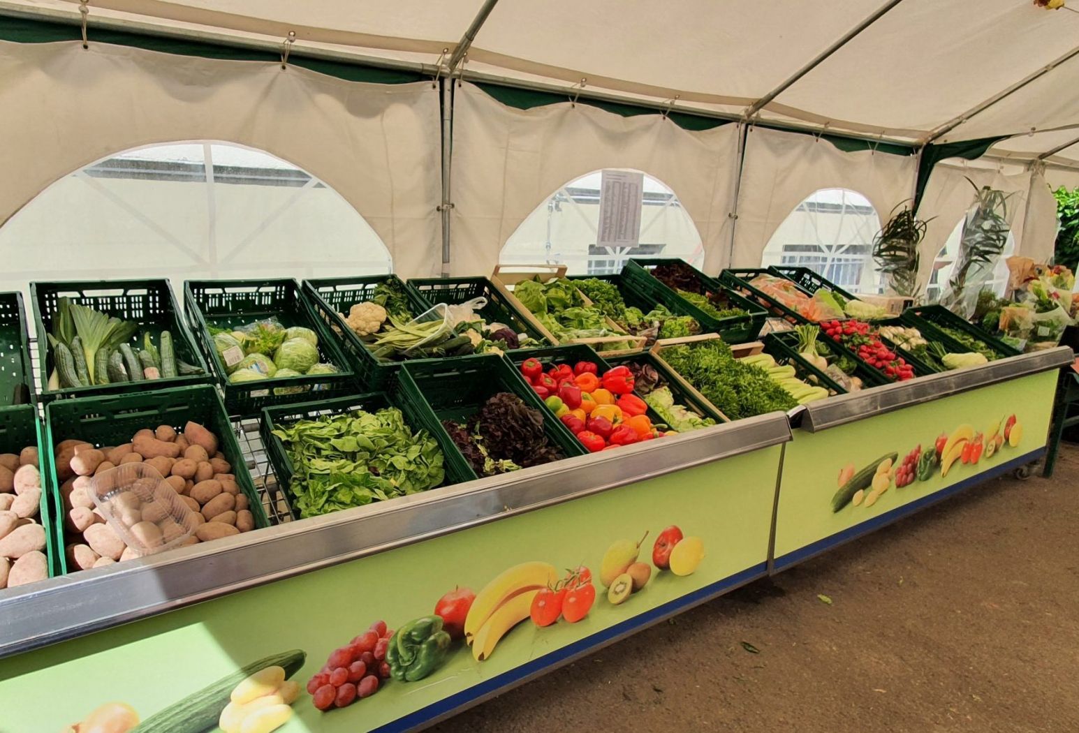 Gerettete Lebensmittel der Tafel Schwetzingen